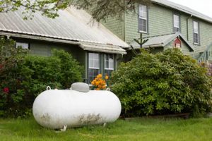 Household Propane Tank